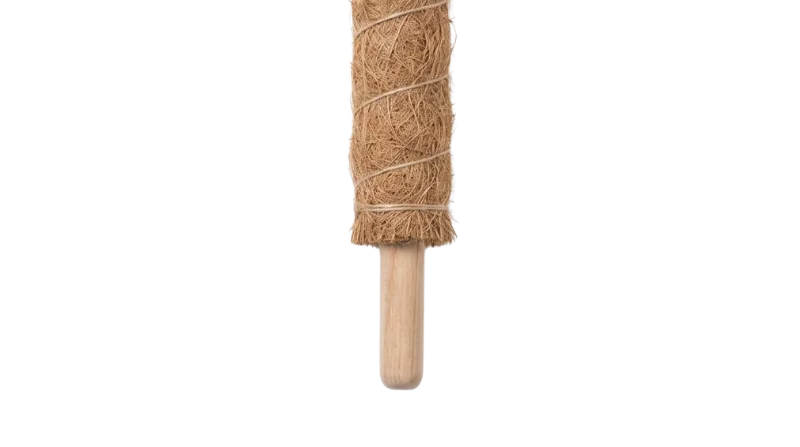 Wooden Core Variant